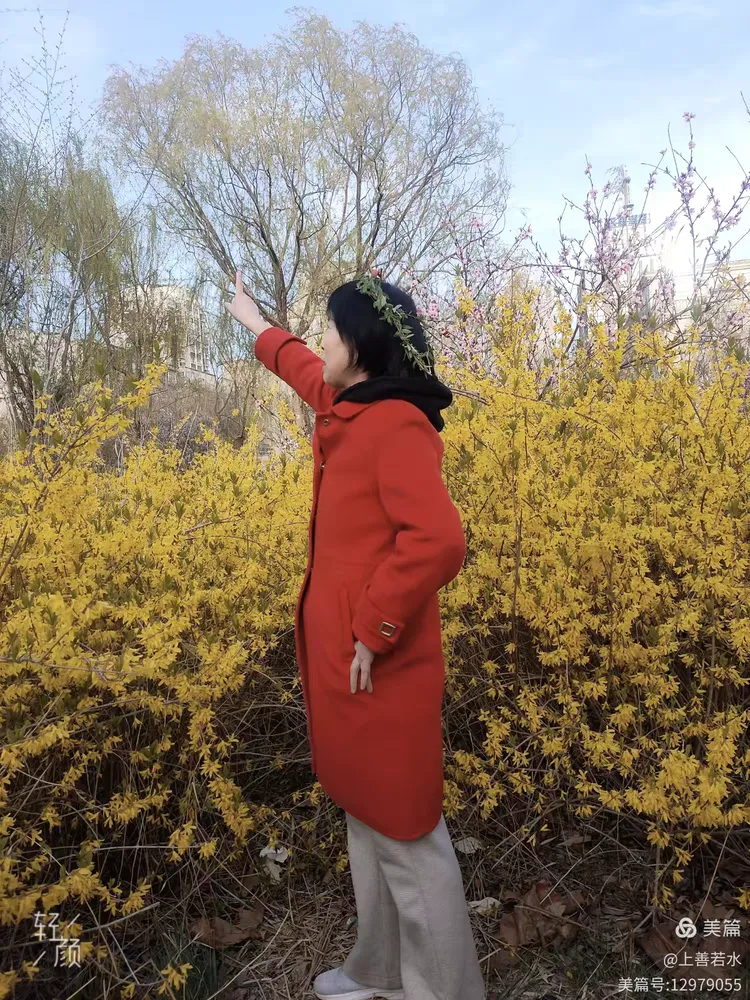 春风知我意，唤得桃花开